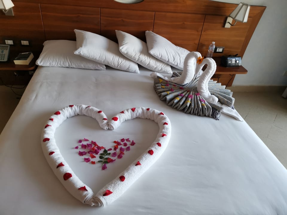 Zimmer Stella Garden Resort & Spa, Makadi Bay