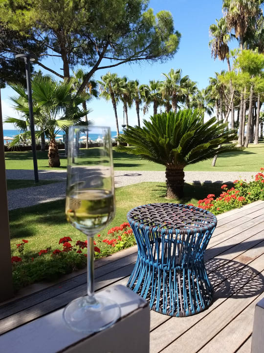 Ausblick Acanthus Cennet Barut Collection