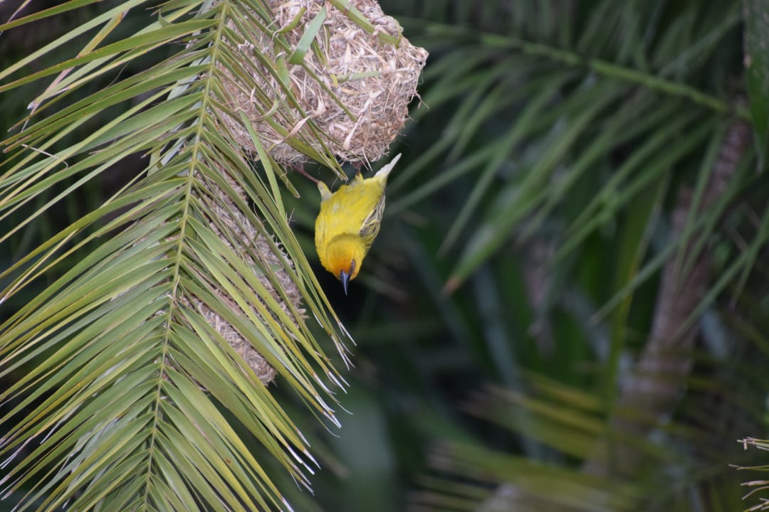 Gartenanlage The Graywood Hotel