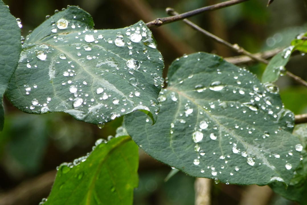 Auch ohne Sonne erlebenswert Hotel Panorama