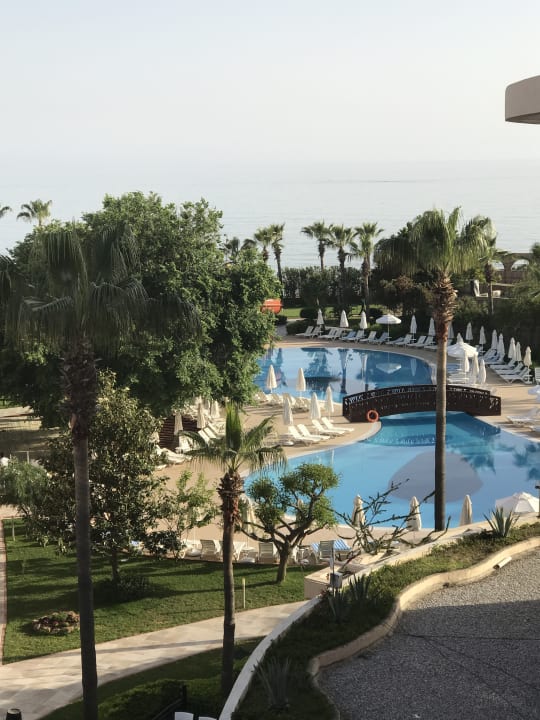 Pool Palmeras Beach Hotel