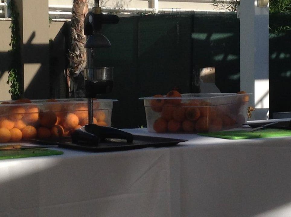 Faulige, schimmlige Orangen zum selbst pressen Sultan of Dreams Hotel & Spa