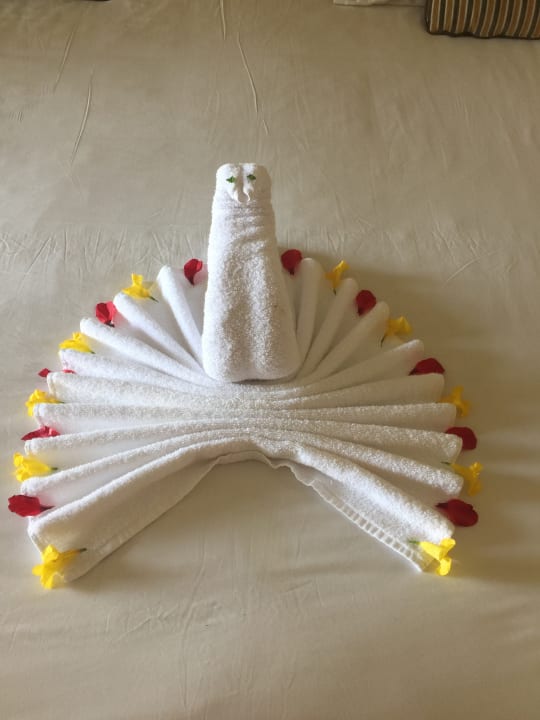 Zimmer Hotel JAZ Makadi Star & Spa