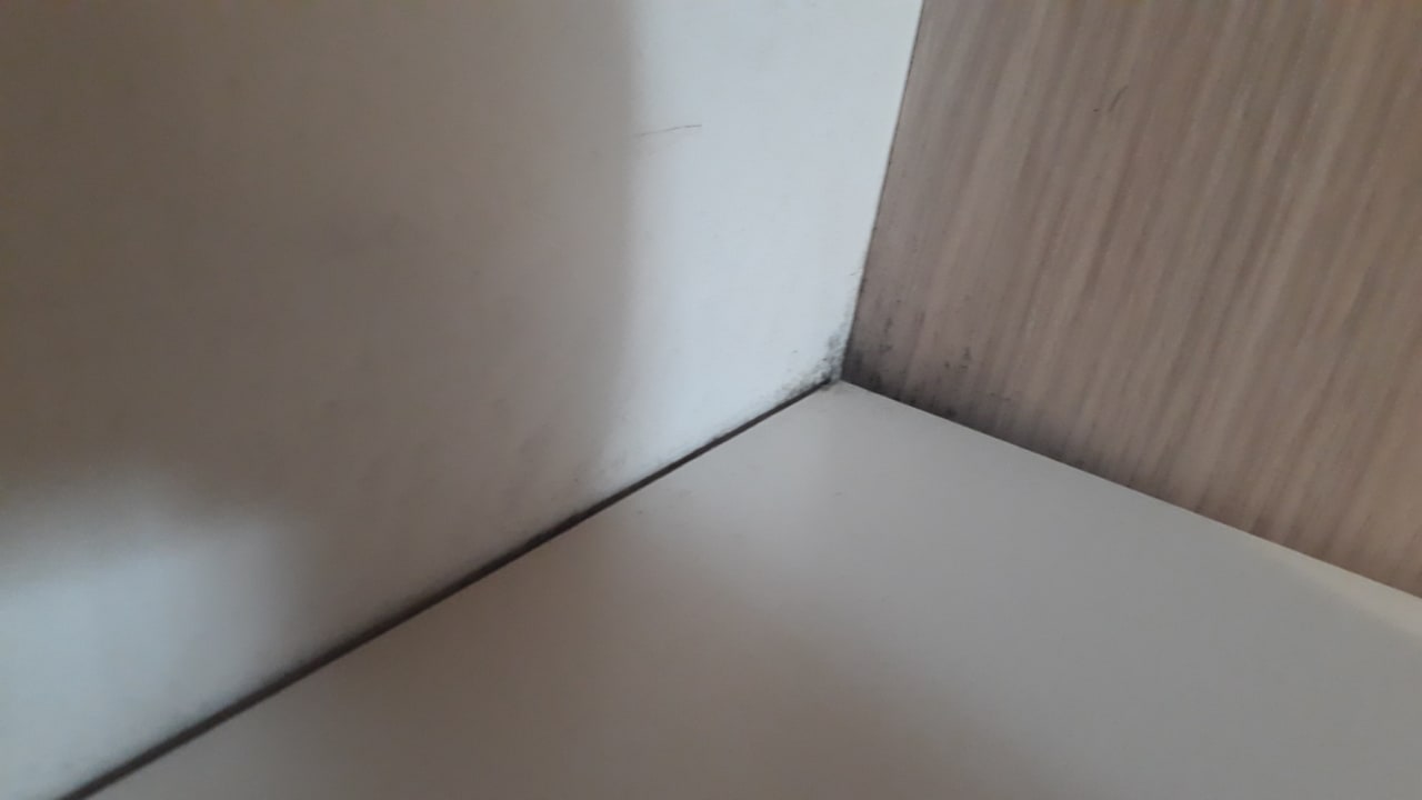 Zimmer Canado Club Family Village