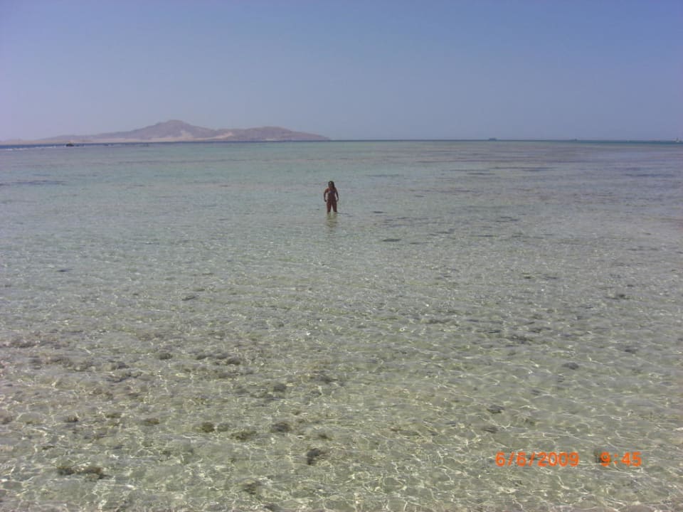 Ewig flaches Wasser - eine rießengroße Badewanne Pickalbatros Royal Moderna Resort-Sharm El Sheikh