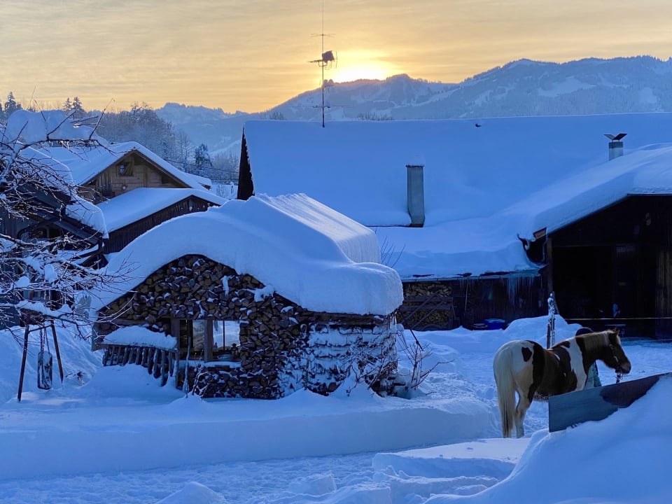 Außenansicht Ferienhof Stiefel| Allgäu-Urlaub |