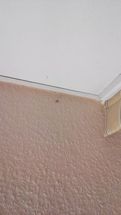 Zimmer Elbbrücken Hotel