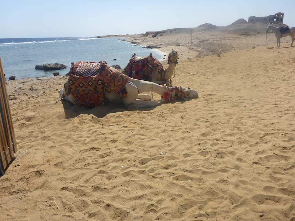 Strand Diamond Beach by Pearl Resort