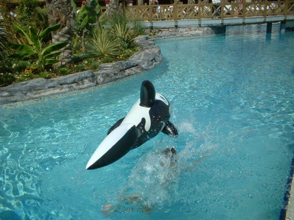 Pool - keiner da  Royal Wings Hotel