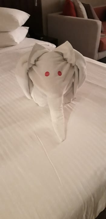 Zimmer Turyaa Kalutara