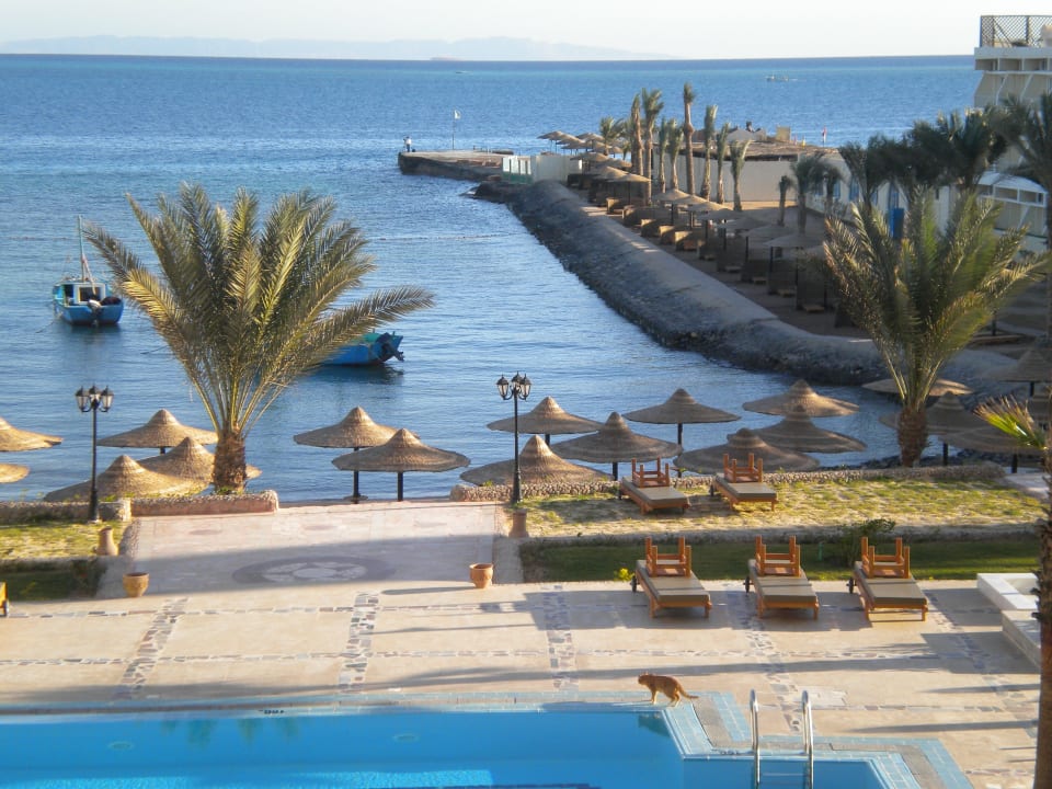 The sea and the swimming-pool Royal Star Beach Resort