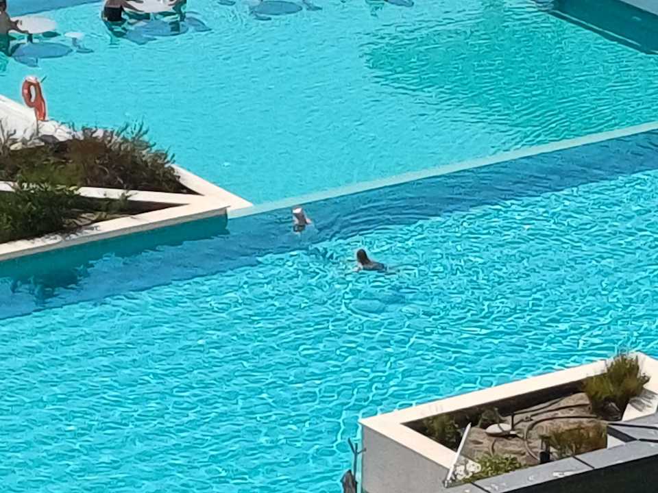 Pool Secrets Sunny Beach Resort & Spa