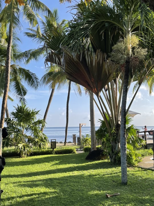 Gartenanlage The Coco de Mer Hotel & Black Parrot Suites