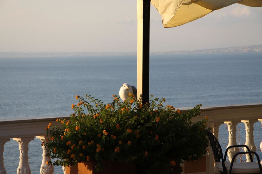 Терраса Hotel Parco dei Principi