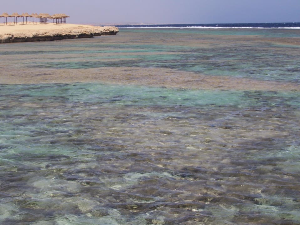 Glasklares Wasser Three Corners Happy Life Beach Resort