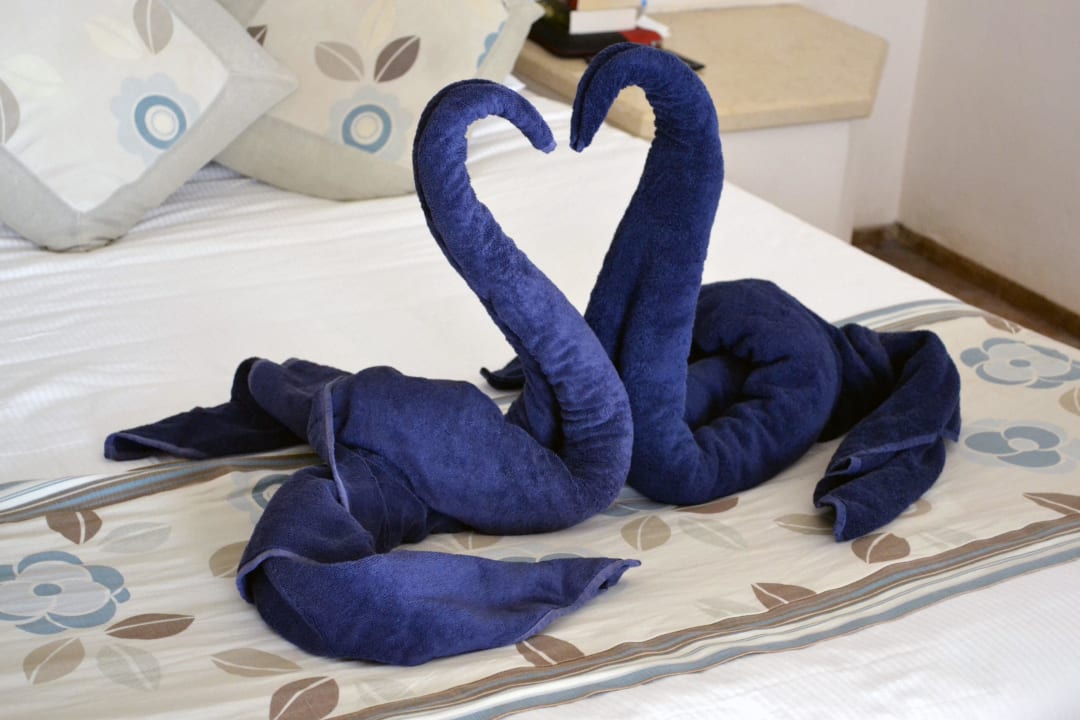 Tiere aus Handtüchern Pickalbatros Citadel Resort