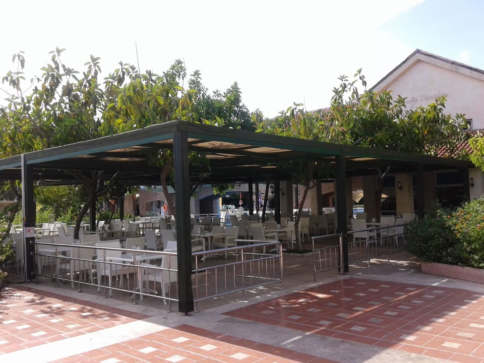 Тут днем пицца, вечером рыбный ресторан Limak Limra Hotel & Resort