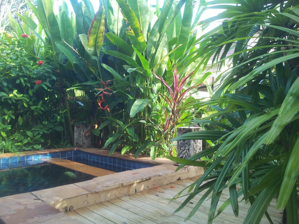 Pool mit Garten Seaview Khao Lak Resort