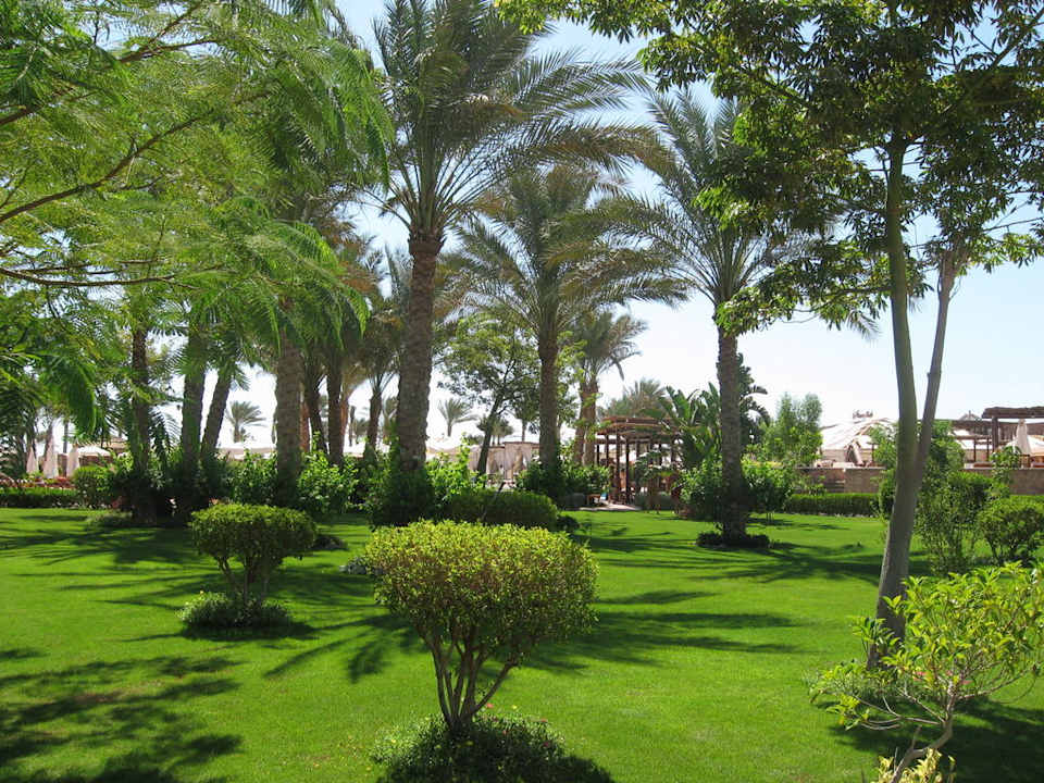 Boski ogród Sharm Grand Plaza Resort