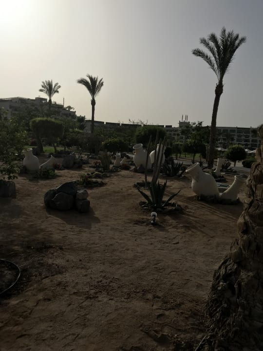 Gartenanlage Steigenberger Aqua Magic