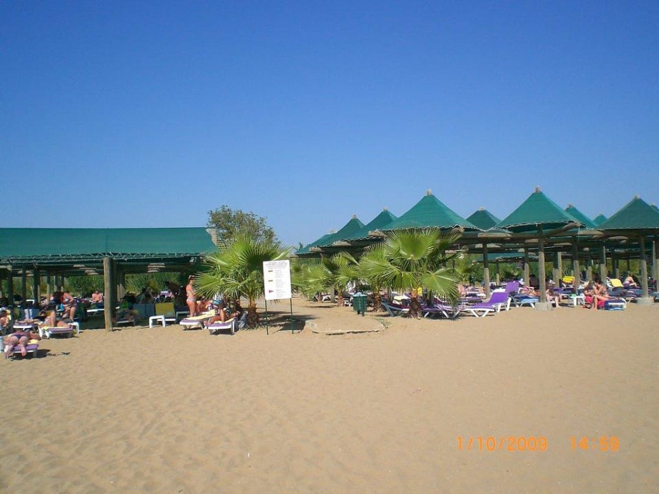 Sonnenüberdachung VONRESORT Golden Beach