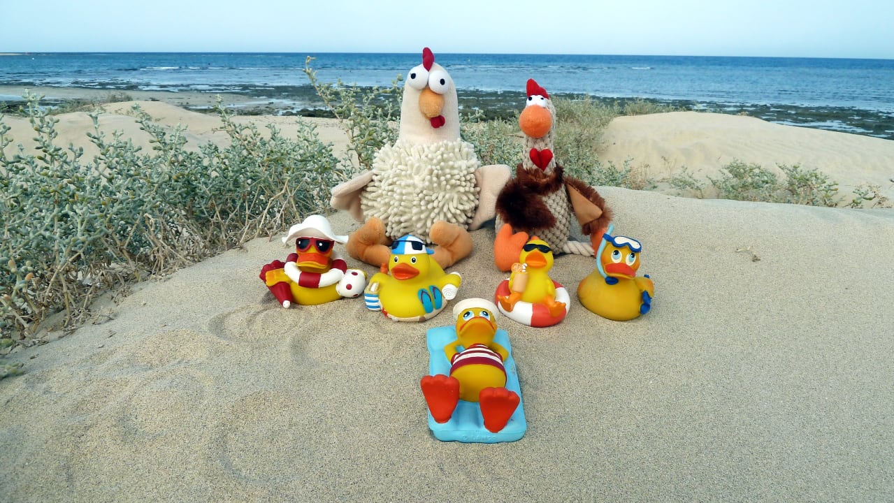 Strand Shams Alam Beach Resort