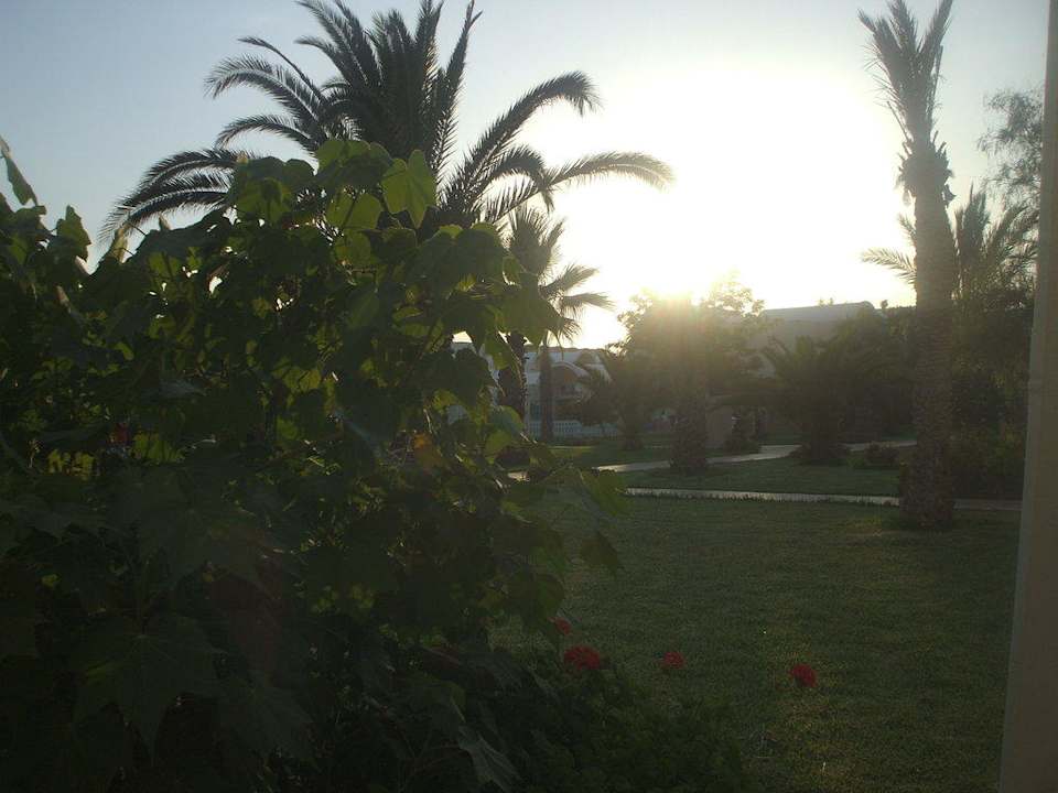 Vom Zimmer Dar Khayam