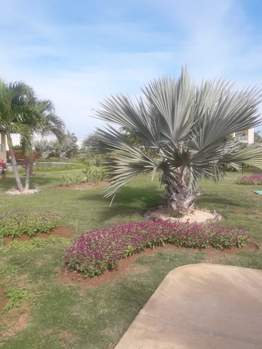 Gartenanlage Paradisus Varadero Resort & Spa