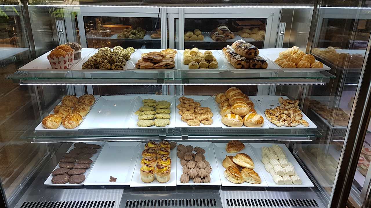 Gastro Acanthus Cennet Barut Collection