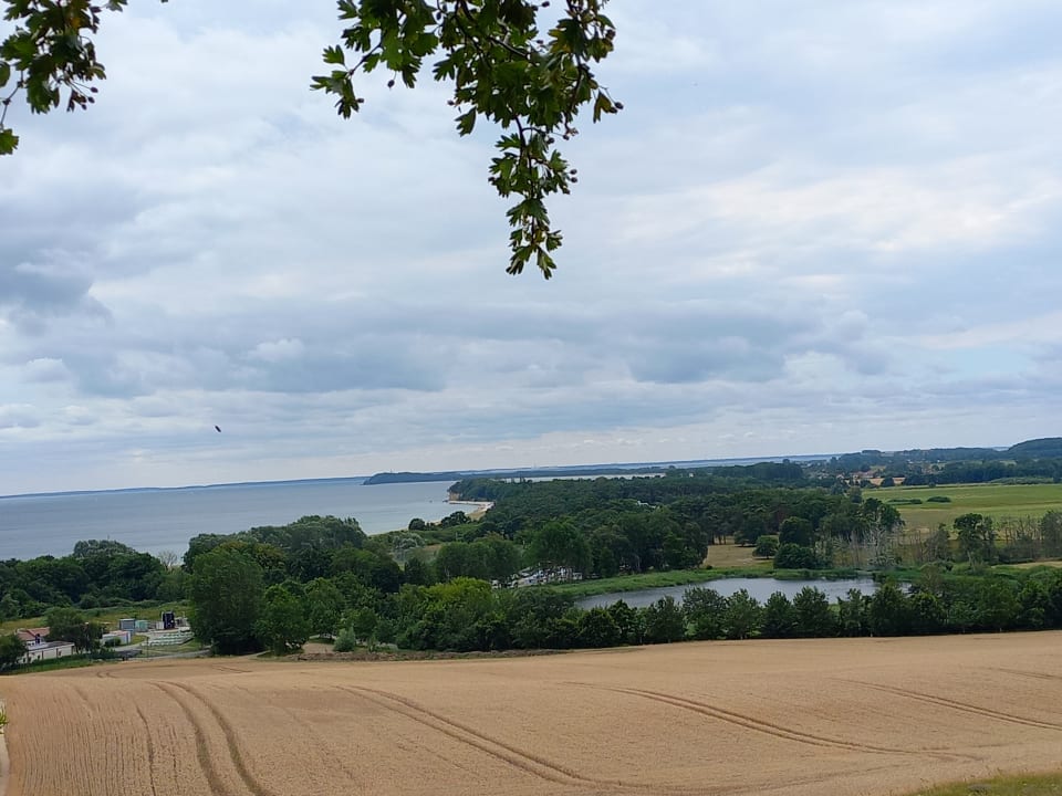 Ausblick Santé Royale Rügen Resort
