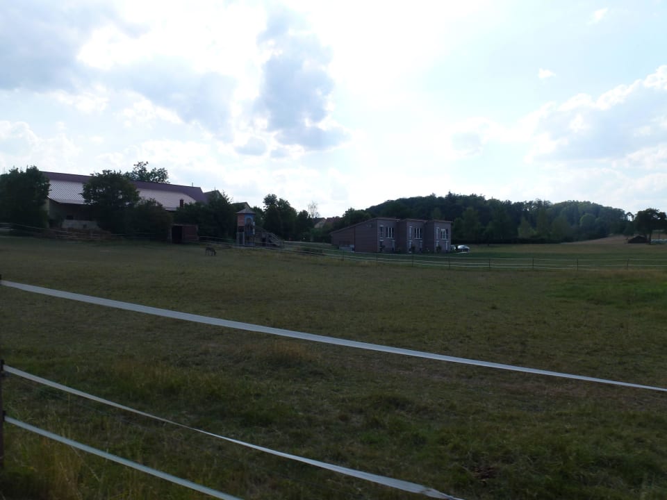 Hof und die Ferienhäuser Ferienhof Neudeck