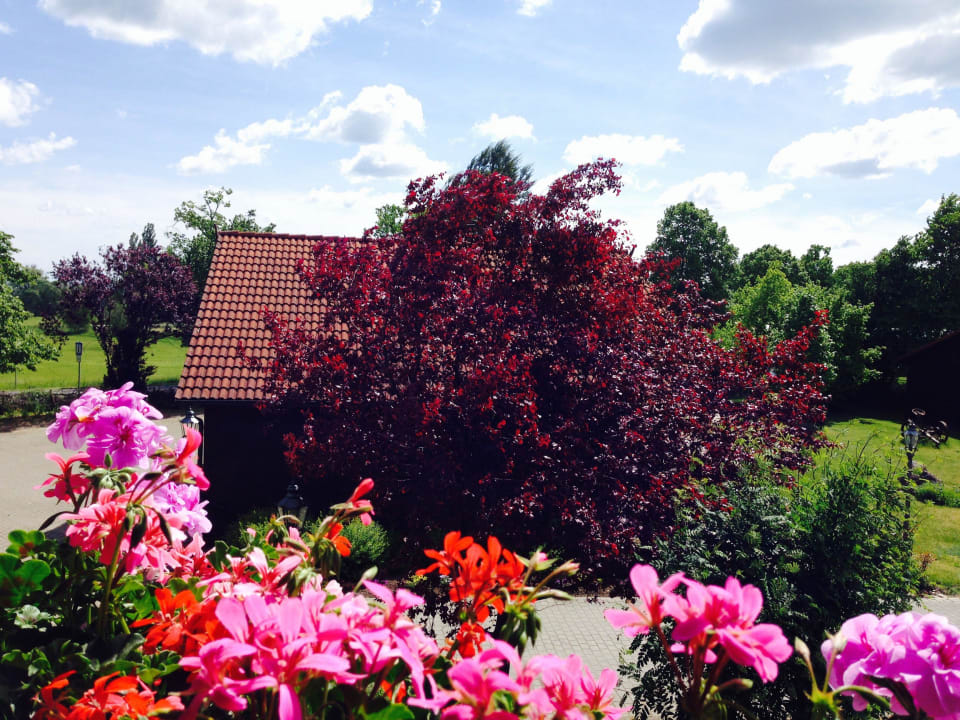 Blick aus einem Studio Hotel & Restaurant Zur Spreewälderin