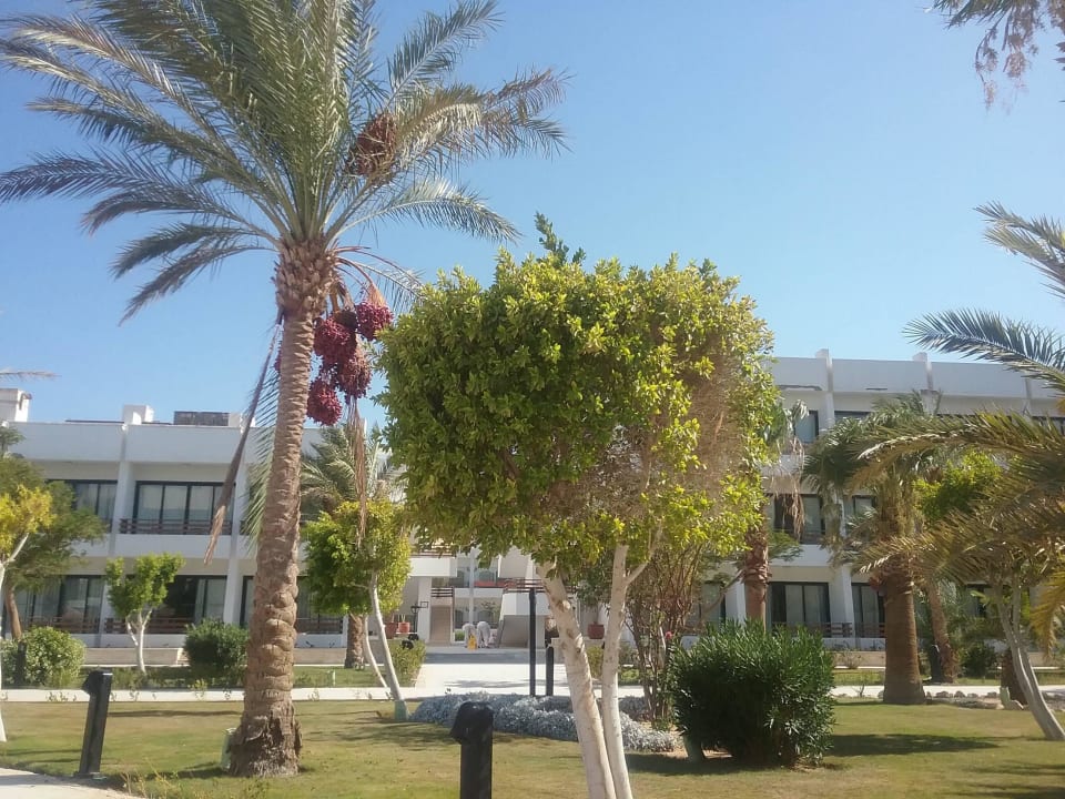 Hotel-Parkanlage 2 The Grand Hotel Hurghada