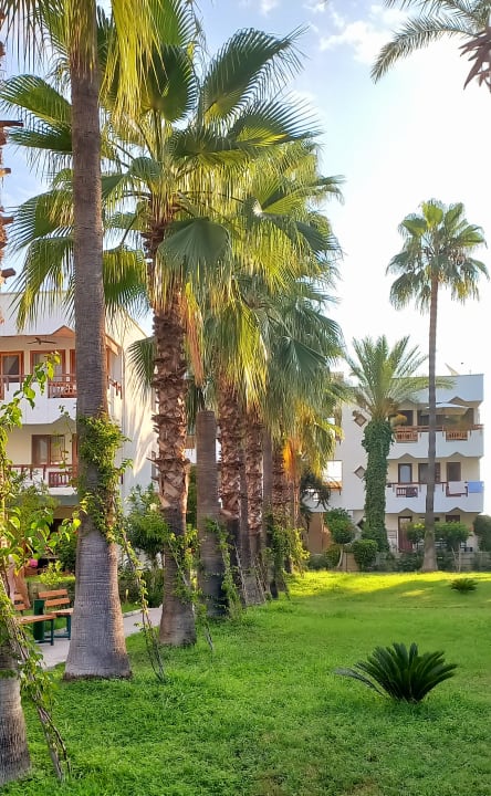 Gartenanlage Hotel Antik