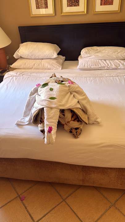 Zimmer Steigenberger Coraya Beach - Adults only