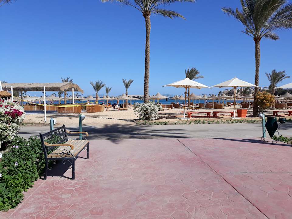 Gartenanlage Desert Rose