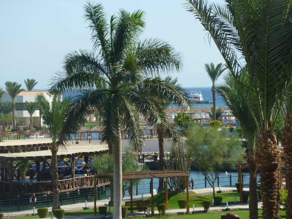 Ausblick vom Balkon Pickalbatros Dana Beach Resort - Hurghada