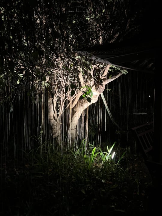 Gartenanlage Hyatt Regency Bali