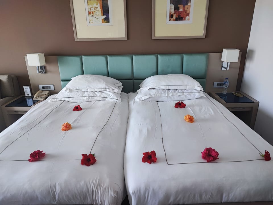 Zimmer Cleopatra Luxury Beach Resort Makadi Bay - Adults only