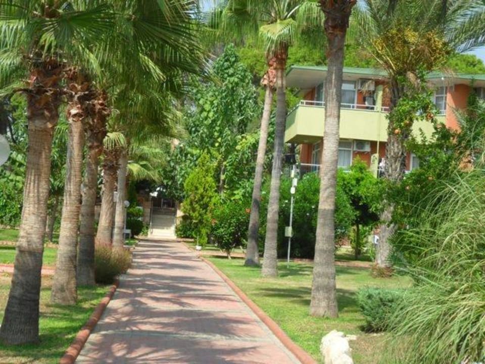 Der Weg zu den Blocks B und C Lonicera Resort & Spa Hotel