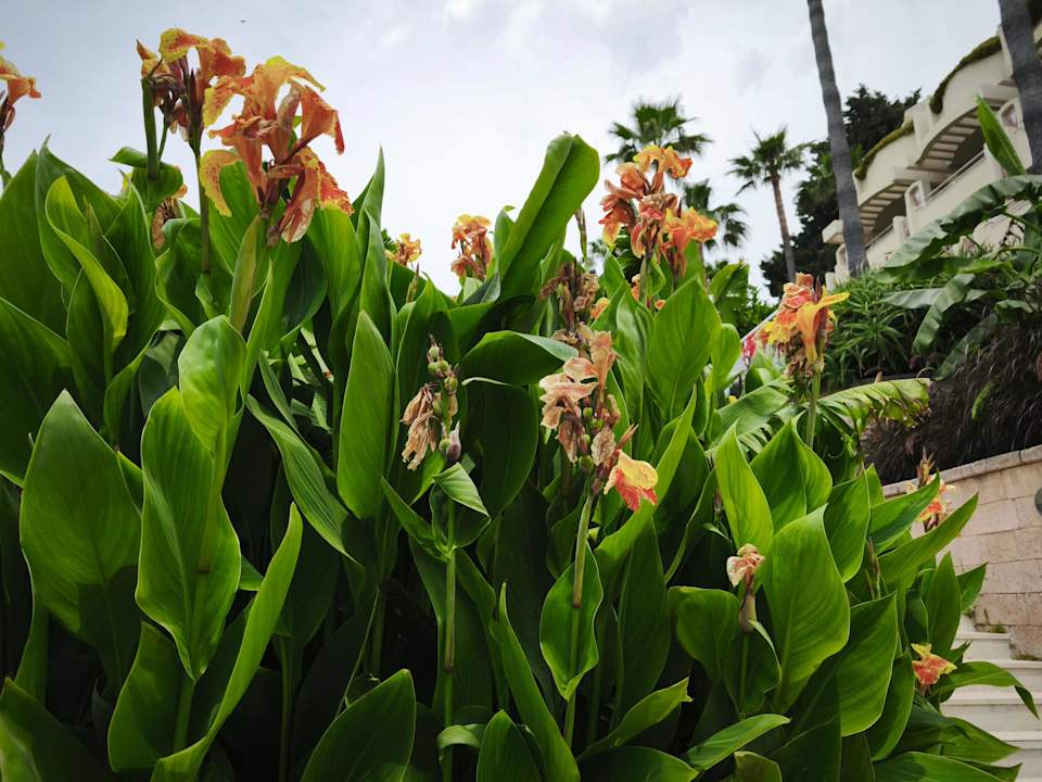 Gartenanlage Melas Resort Hotel