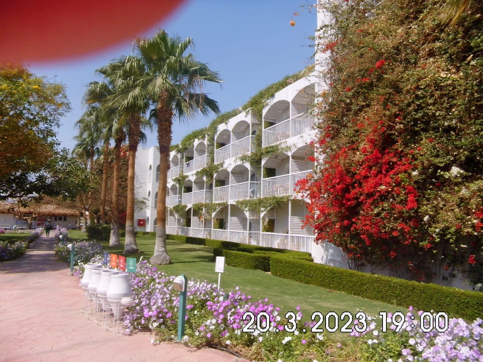 Außenansicht Desert Rose