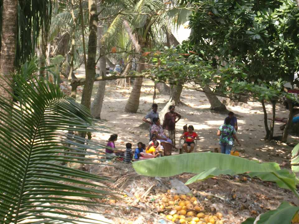 Blick auf die Nachbarn Hotel Haus am Meer Wilde Ananas