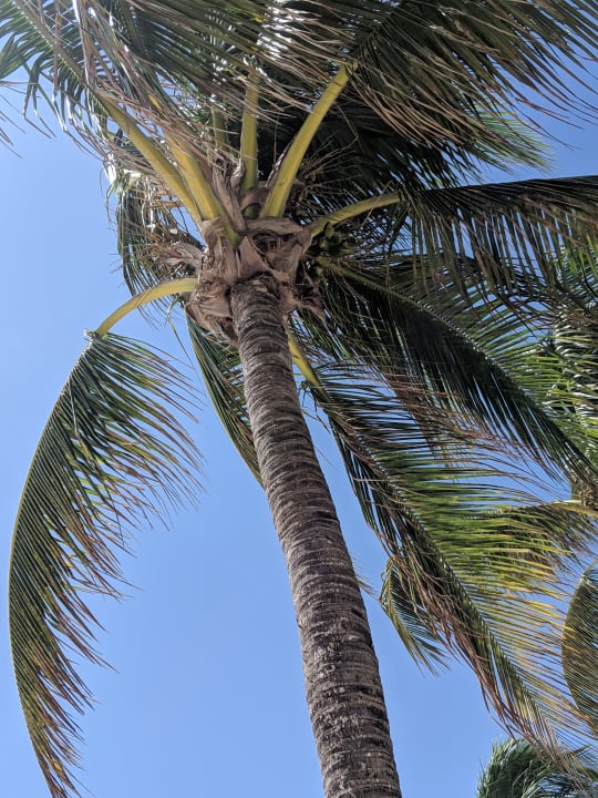 Strand Dreams Tulum Resort & Spa