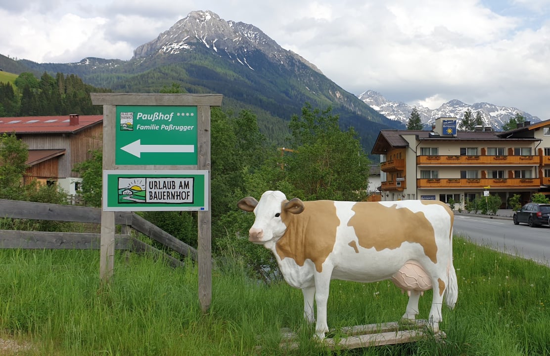 Außenansicht Bauernhof Paußhof