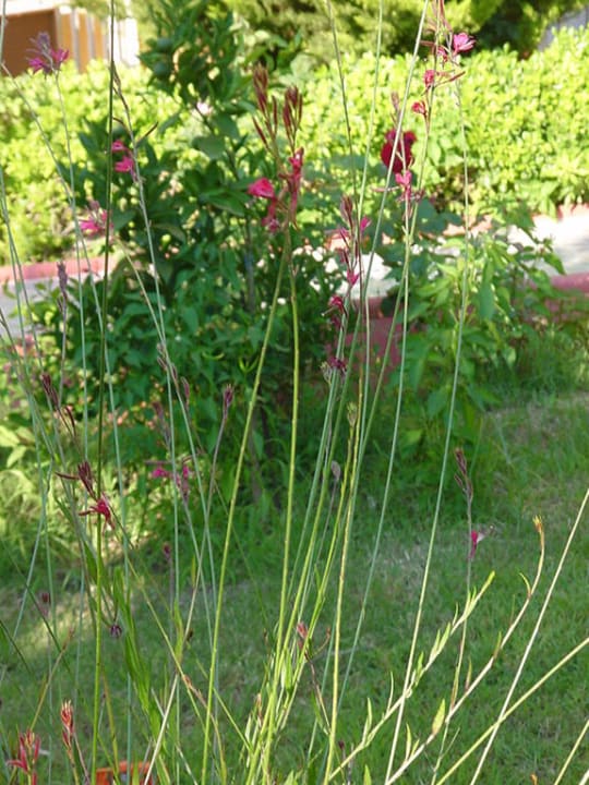 Ogrod Hotel Özgürhan