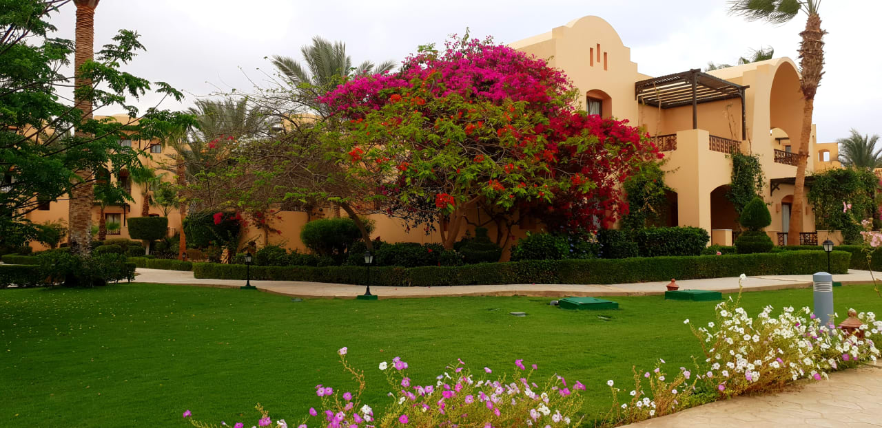 Gartenanlage Steigenberger Coraya Beach - Adults only