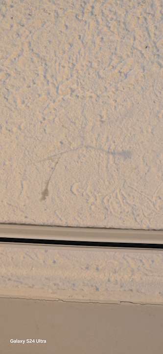 Zimmer Appartement Brink Am Waltenberg 70