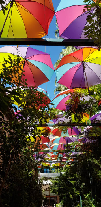 Garten Hane Family Resort