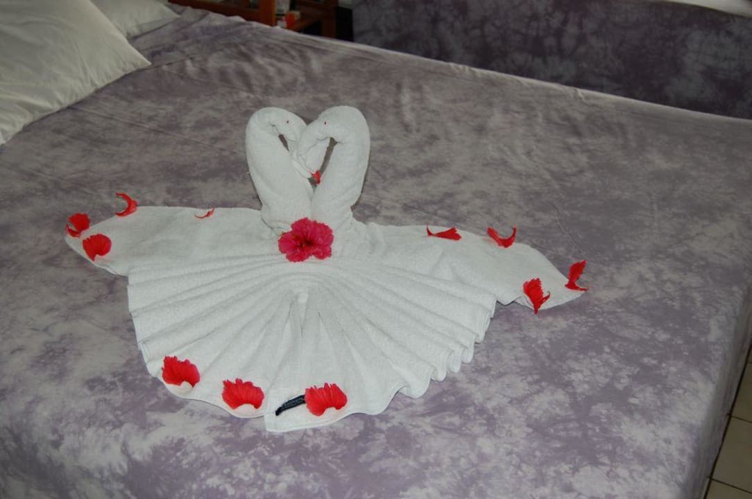 Kunstwerk Hotel Pochote Grande